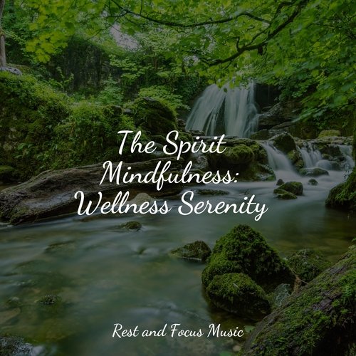 The Spirit Mindfulness: Wellness Serenity_poster_image