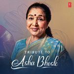 Bara Ganvachi Bhatak Bhawani (From "Khara Varasdar")