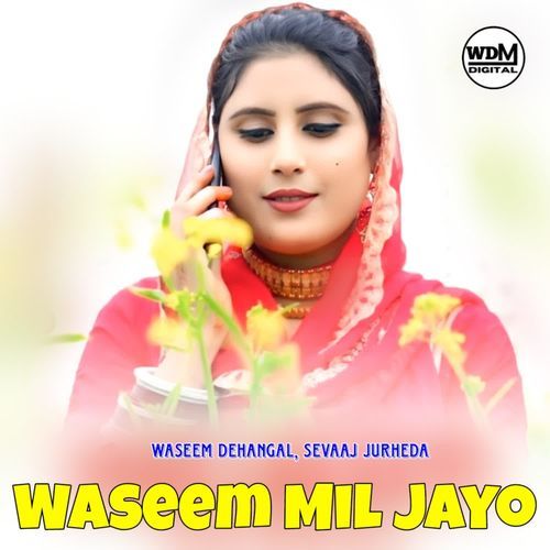 Waseem Mil Jayo