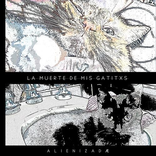 la muerte de mis gatitxs cover art