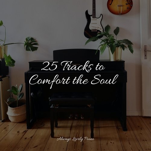 25 Tracks to Comfort the Soul