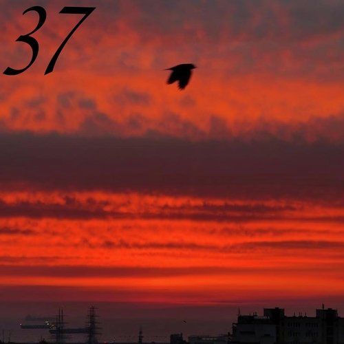 Stefan cover art