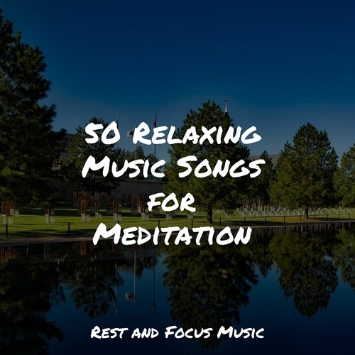 50 Relaxing Music Songs for Meditation