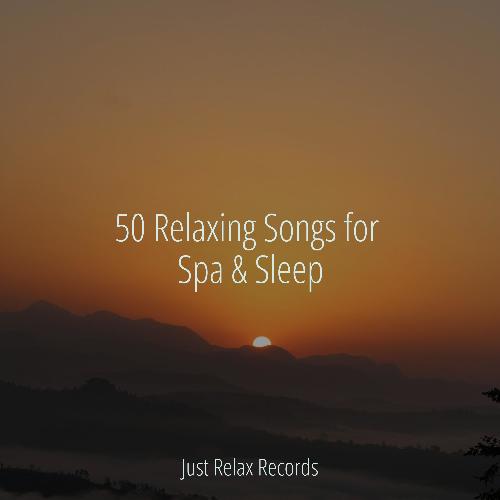 50 Relaxing Songs for Spa & Sleep