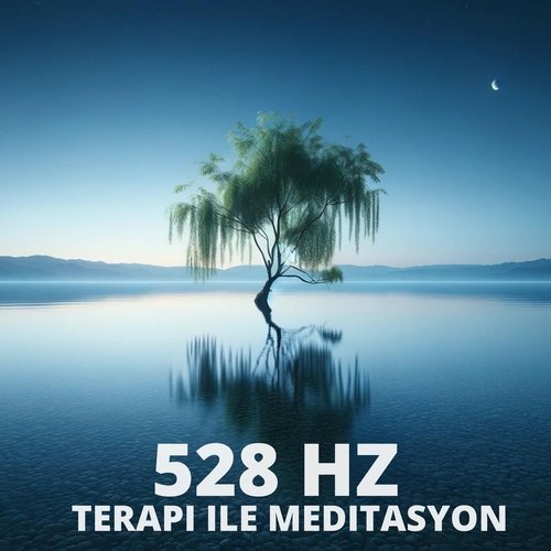 528 Hz Terapi ile Meditasyon: Tüm Vücut Yenilenmesi, Pozitif Enerji, Anti Stres ve Kaygı_poster_image