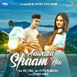 Aawara Shaam Hai (feat. Manjul Khattar & Rits Badiani)