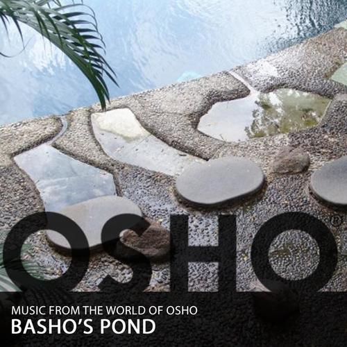 Basho’s Pond_poster_image