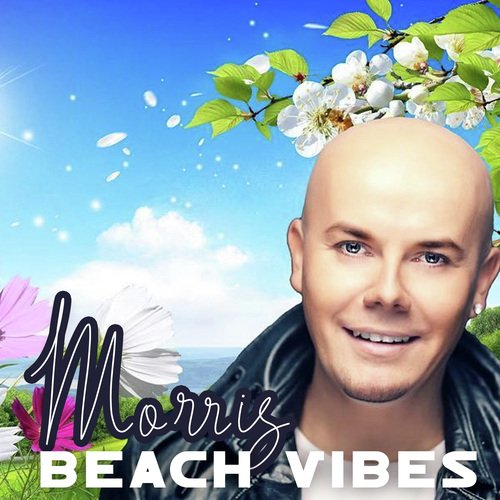 Beach Vibes_poster_image