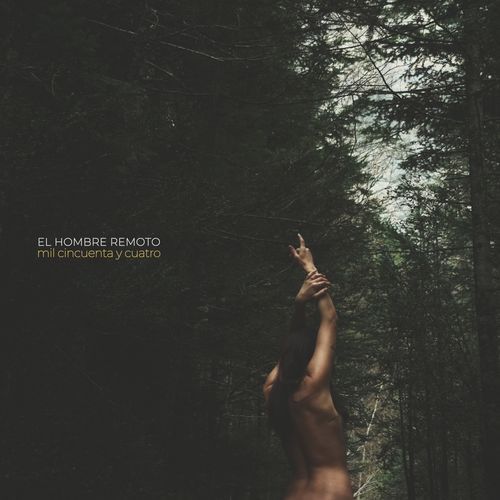 No Se Puede Hacer cover art
