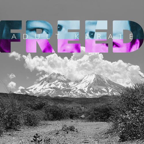 Freed_poster_image