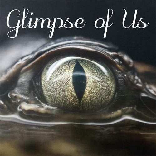 Glimpse of Us_poster_image