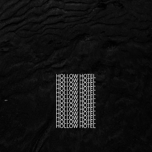 Gulls cover art