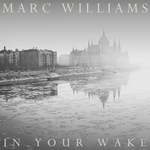 In Your Wake