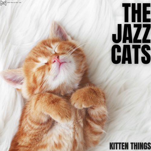 Meow Meow...Not Today Thanks