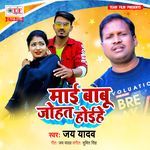 Maai Babu Johat Hoihe