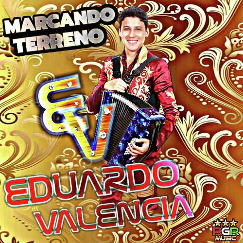 Manuel cover art