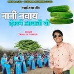 Nani Navay Dekhne Aavji Vo