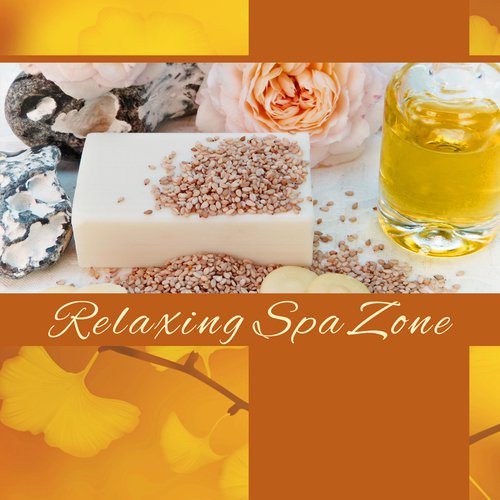 Relaxing Spa Zone cover art