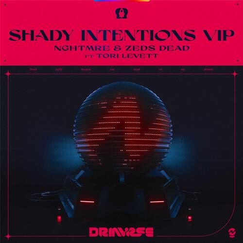 Shady Intentions (VIP)