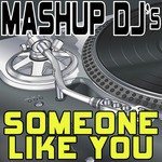 Someone Like You (Remix Tools for Mash-Ups)