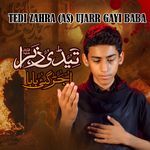 Tedi Zahra (As) Ujarr Gayi Baba | Noha Ayyam E Fatima (As)