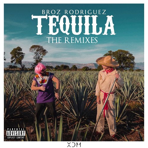 Tequila (The Remixes)_poster_image