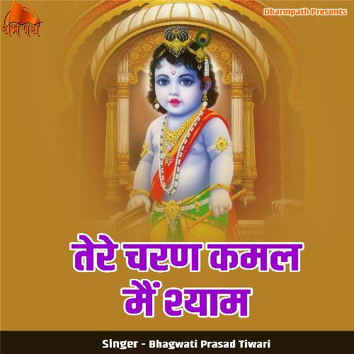 Tere Charan Kamal Mai Shyam