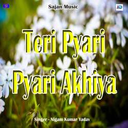 Teri Pyari Pyari Akhiya-ARsvRwBoBVk