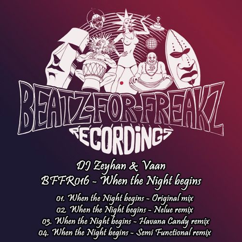When the Night Begins (Semi Functional Remix) cover art