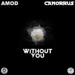 Without You