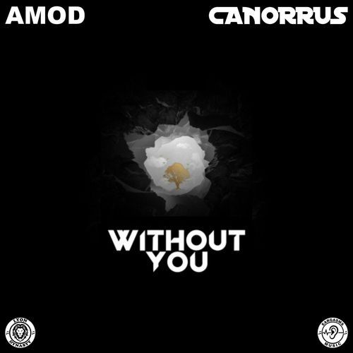 Without You
