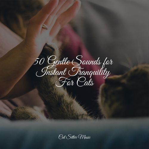 50 Gentle Sounds for Instant Tranquility For Cats