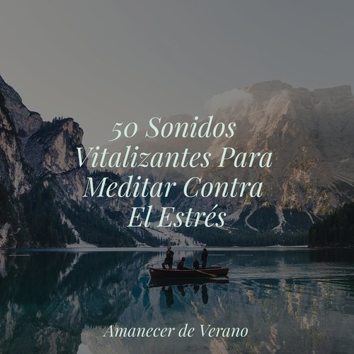 50 Sonidos Vitalizantes Para Meditar Contra El Estrés