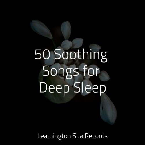 Lazy Morning cover art