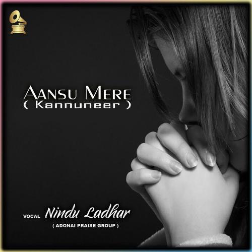 Aansu Mere (Kannuneer)