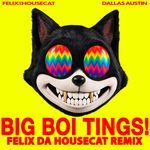 BIG BOI TINGS (REMIX)