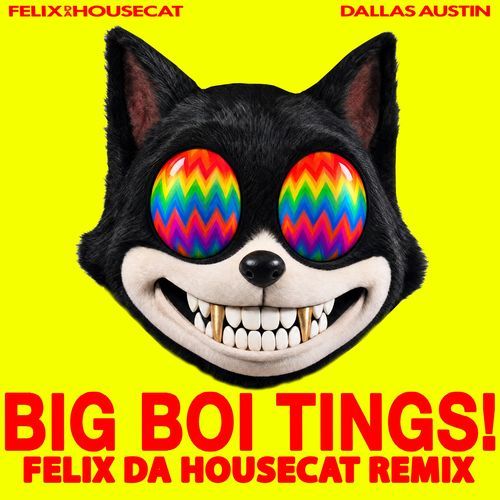 BIG BOI TINGS (REMIX)