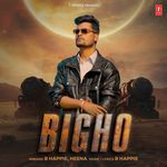 Bigho