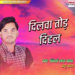 Dilwa Tod Dihal Labhar Ke Kahe Chhod Dihalas