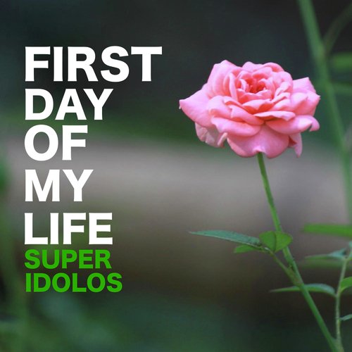 First Day Of My Life_poster_image