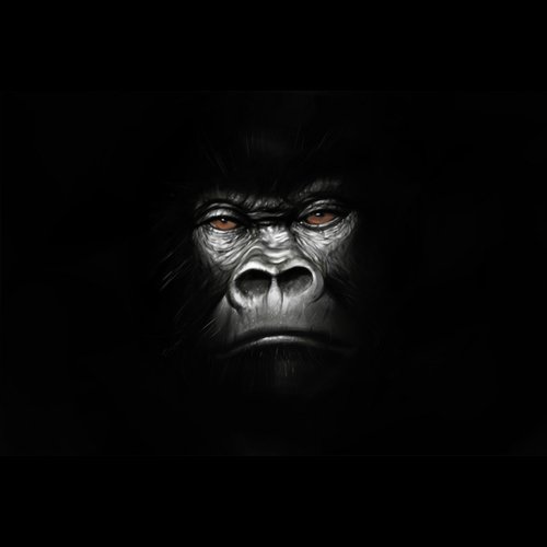 Harambe_poster_image