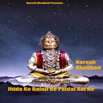 Jhida Ko Balaji Ke Paidal Aai Re