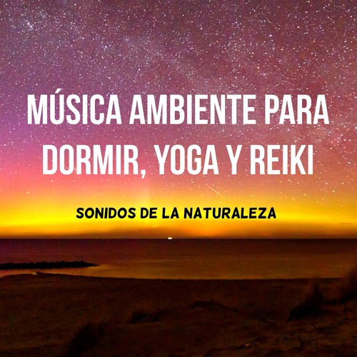 Terapia Spa cover art