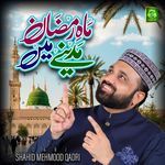 Asi Han Hubdaar Ali De