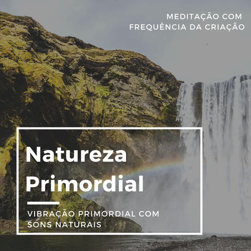 Natureza Primordial cover art