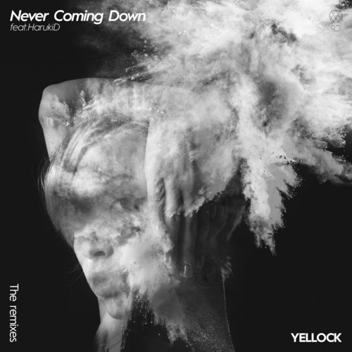 Never Coming Down (The Remixes)_poster_image