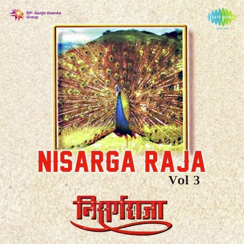 Nisarga Raja Vol. 3