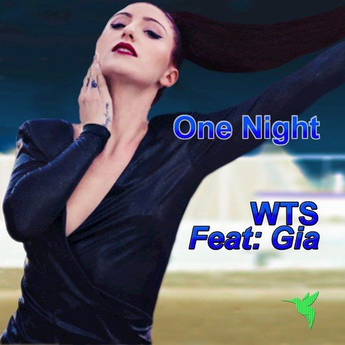 One Night (feat. Gia)