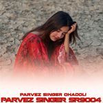 PARVEZ SINGER SR9004