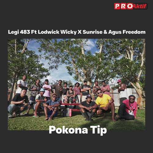 Pokona Tip cover art
